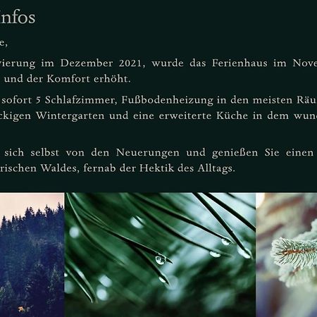 Ferienhaus Bayerischer Wald Regen Ngoại thất bức ảnh